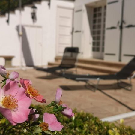 Chateauneuf-de-Galaure Bellevue Bed & Breakfast エクステリア 写真