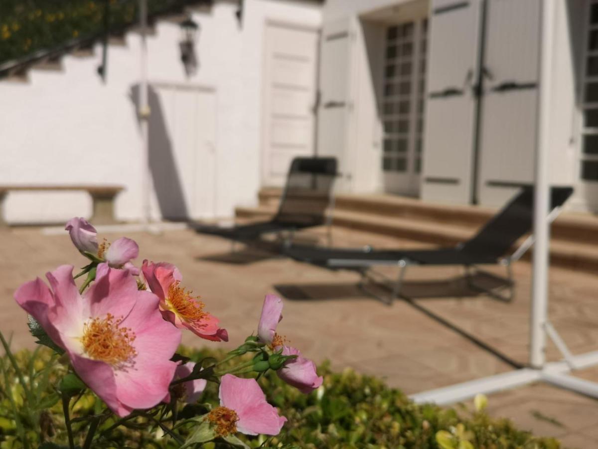 Chateauneuf-de-Galaure Bellevue Bed & Breakfast エクステリア 写真
