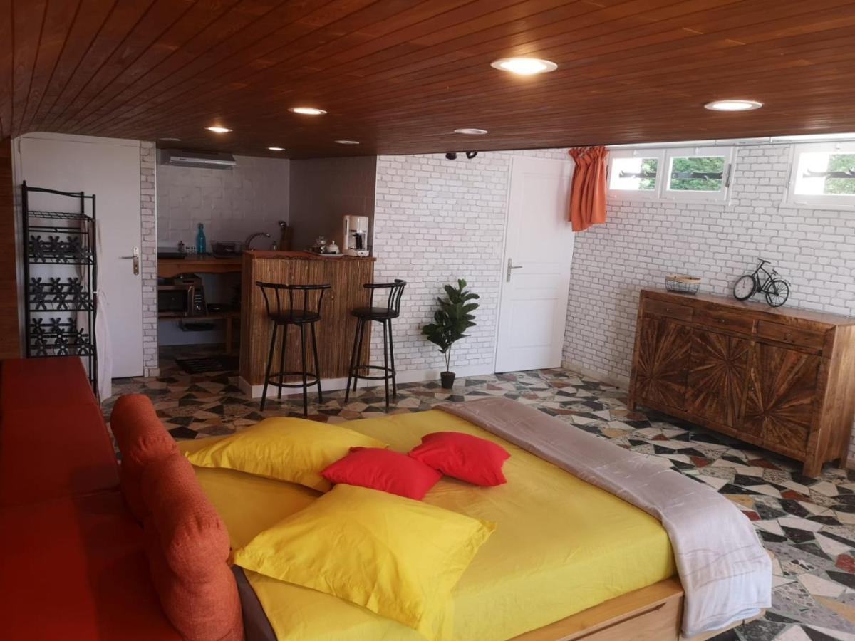 Chateauneuf-de-Galaure Bellevue Bed & Breakfast エクステリア 写真
