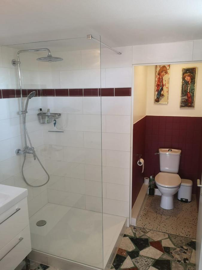 Chateauneuf-de-Galaure Bellevue Bed & Breakfast エクステリア 写真