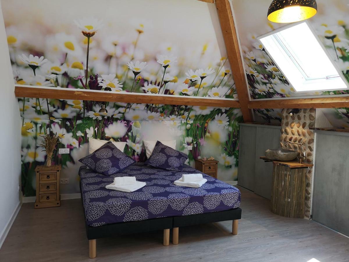 Chateauneuf-de-Galaure Bellevue Bed & Breakfast エクステリア 写真